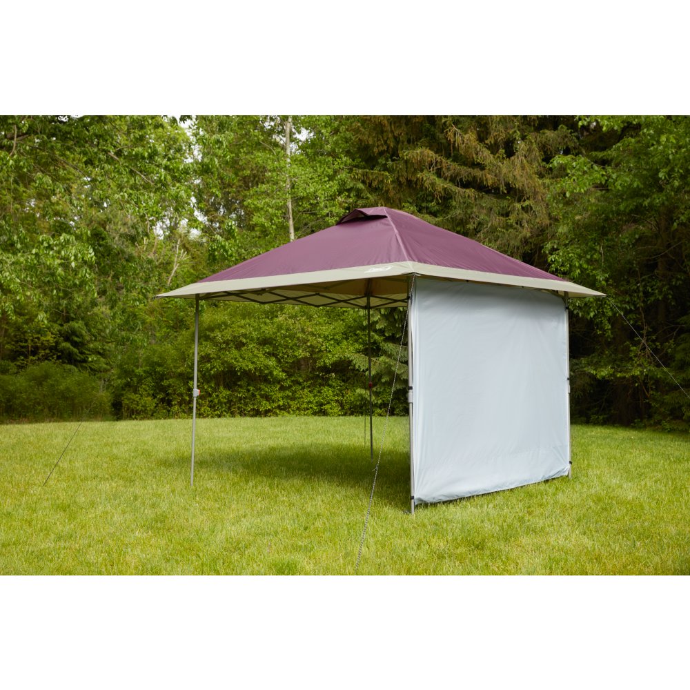 Wall canopy hotsell for garden